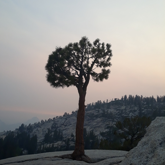 Meet your Posher, Dennys - Picture 8 of 9